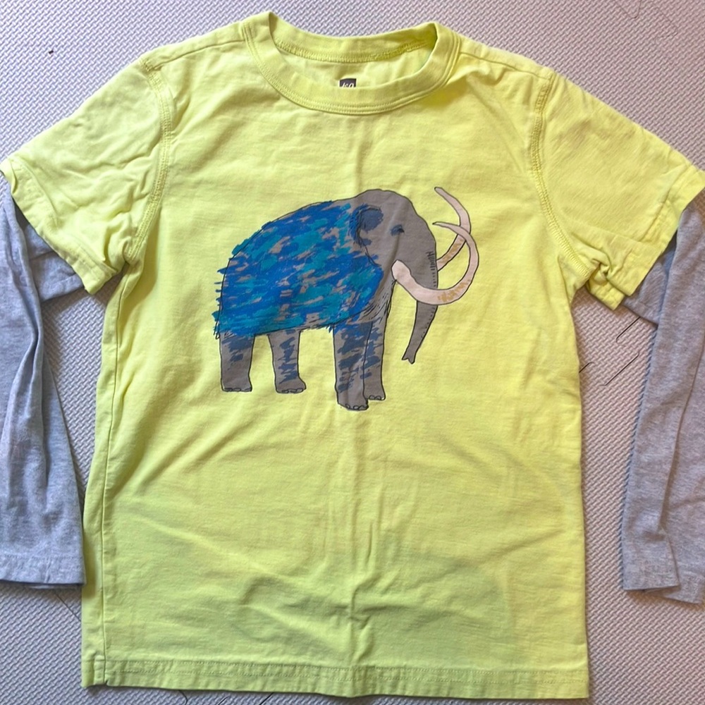Tea Collection shirt 8